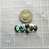 Small Sky Blue Oval Blue Moon Turquoise, Set of 6 Dimensions