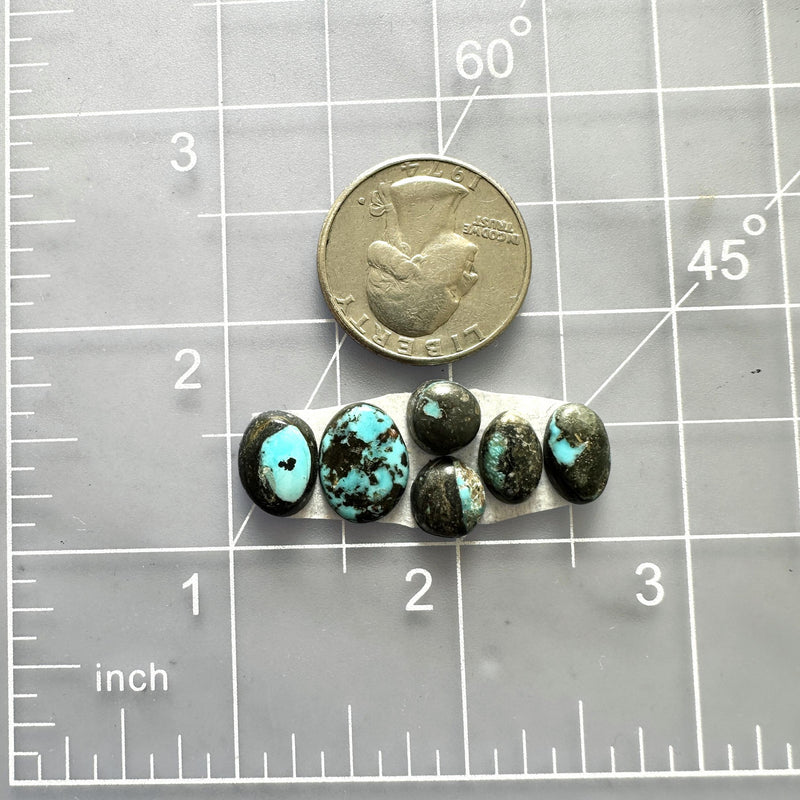 ブルームーンページ Small Sky Blue Oval Blue Moon Turquoise, Set of 6 - Turquoise Moose