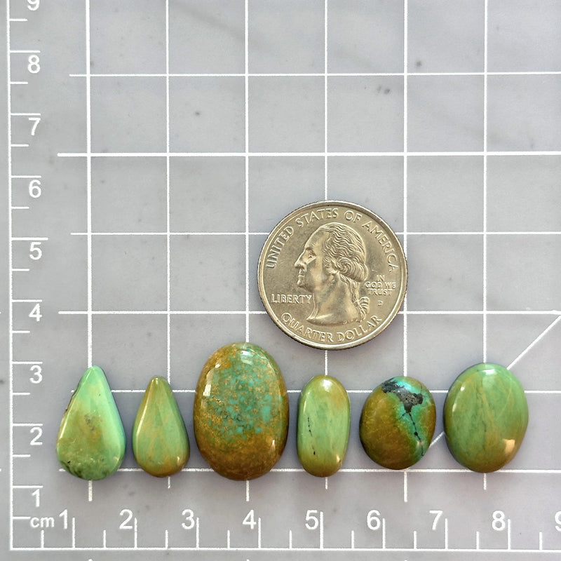 Small Mint Green Mixed Crescent Lake Variscite, Set of 6 Dimensions