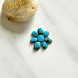 Small Sky Blue Mixed Fox Turquoise, Set of 8 Background