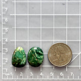 Medium Deep Green Mixed Crescent Lake Variscite, Set of 2 Dimensions