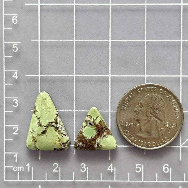 Medium Sea Green Triangle Treasure Mountain Turquoise, Set of 2 Dimensions