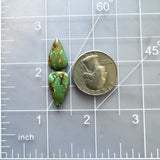 Small Bamboo Green Teardrop Bamboo Mountain Turquoise, Set of 2 Dimensions
