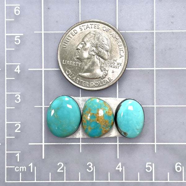 Medium Sky Blue Freeform Tyrone Turquoise, Set of 3 Dimensions