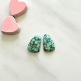 Medium Mint Green Freeform Namtso Lake Turquoise, Set of 2 Background