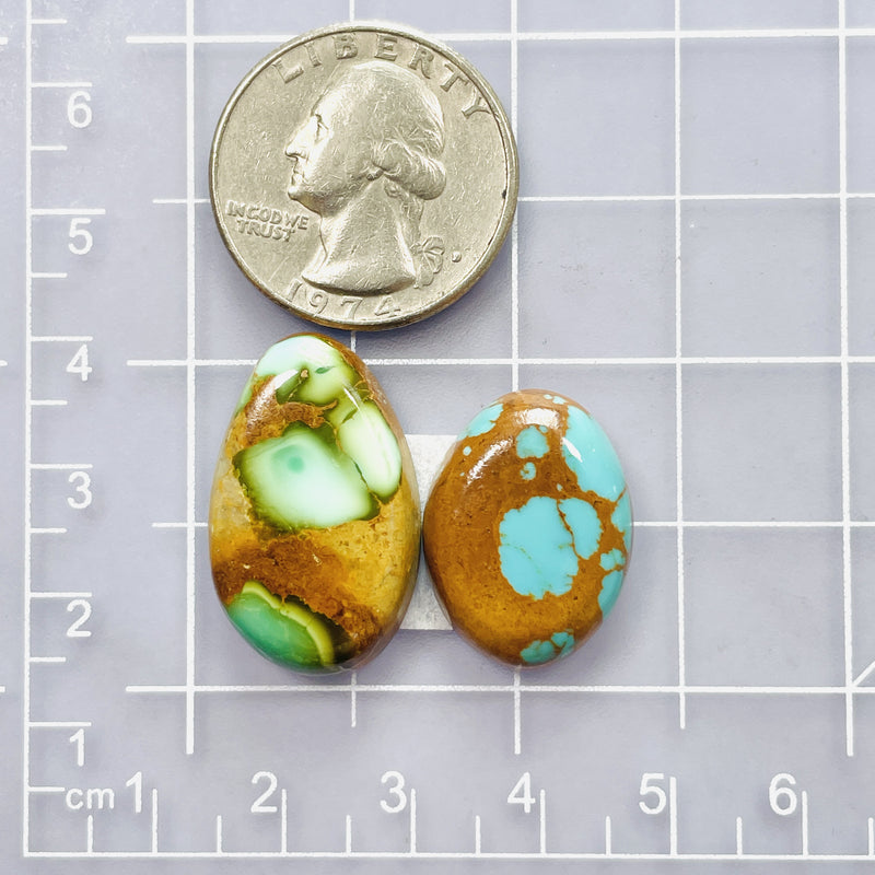 Medium Mixed Freeform Royston Turquoise, Set of 2 Dimensions