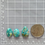 Small Sky Blue Mixed Fox Turquoise, Set of 3 Dimensions