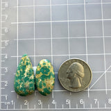 Large Sea Green Mixed Crescent Lake Variscite, Set of 2 Dimensions