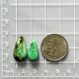 Large Sea Green Teardrop Crescent Lake Variscite Dimensions