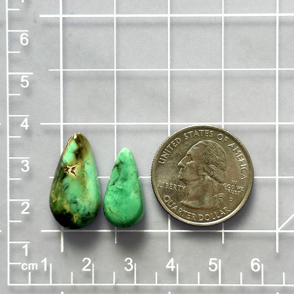 Large Sea Green Teardrop Crescent Lake Variscite Dimensions