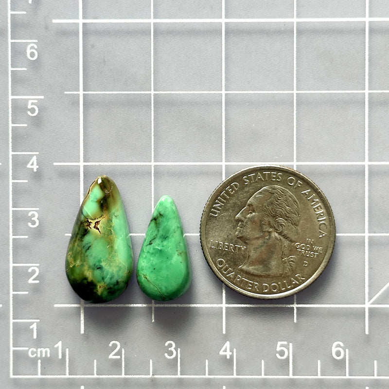 Large Sea Green Teardrop Crescent Lake Variscite Dimensions