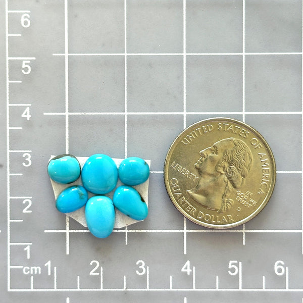 Small Sky Blue Mixed Sleeping Beauty Turquoise, Set of 6 Dimensions