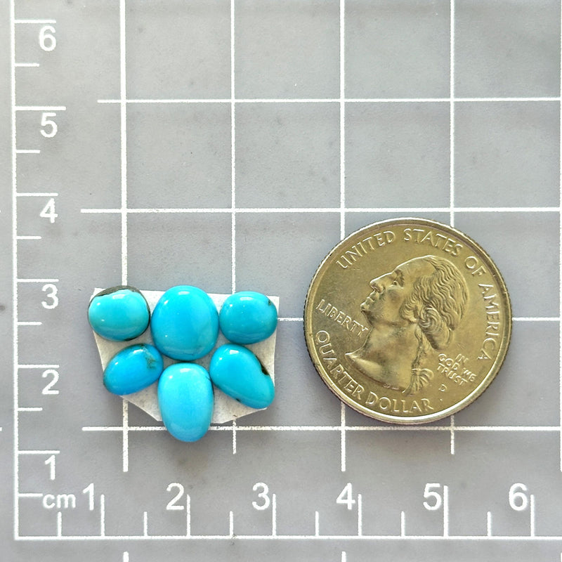 Small Sky Blue Mixed Sleeping Beauty Turquoise, Set of 6 Dimensions