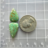Large Sea Green Teardrop Fox Turquoise, Set of 2 Dimensions