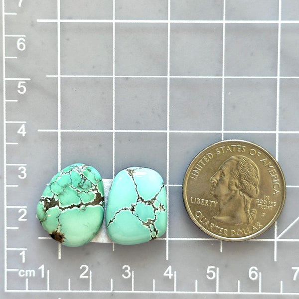 Medium Sky Blue Freeform Treasure Mountain Turquoise, Set of 2 Dimensions
