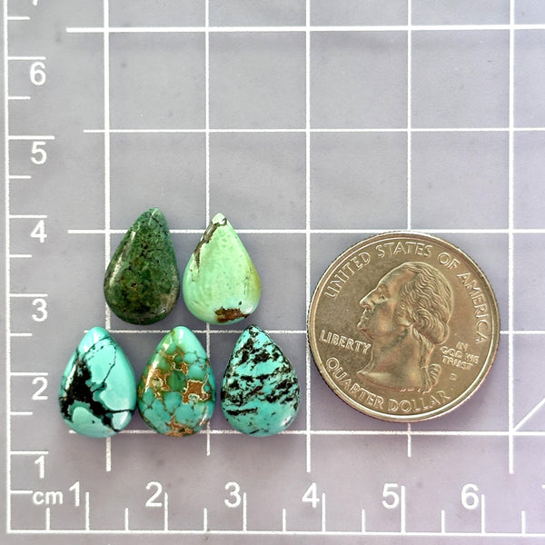 Small Mixed Teardrop Mixed Turquoise, Set of 5 Dimensions