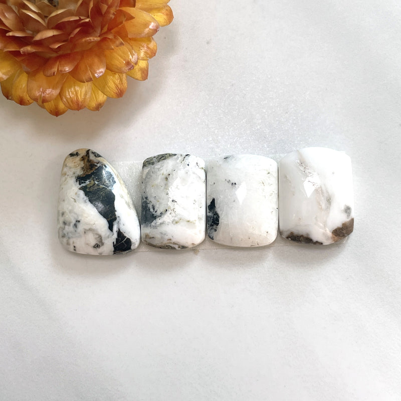 Medium White Mixed White Buffalo Dolomite, Set of 4 Background