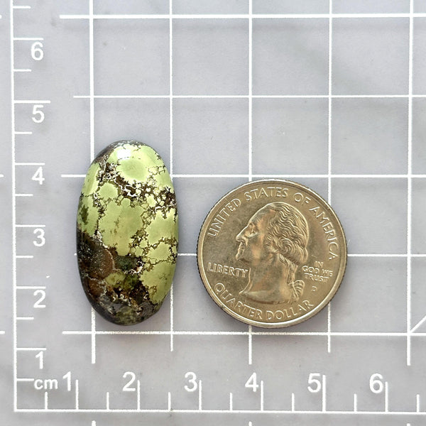 Large Sea Green Oval Treasure Mountain Turquoise Dimensions