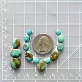 Small Mixed Mixed Tyrone Turquoise, Set of 14 Dimensions