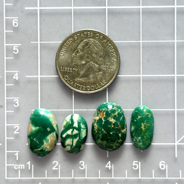 Medium Deep Green Mixed Fox Turquoise, Set of 4 Dimensions