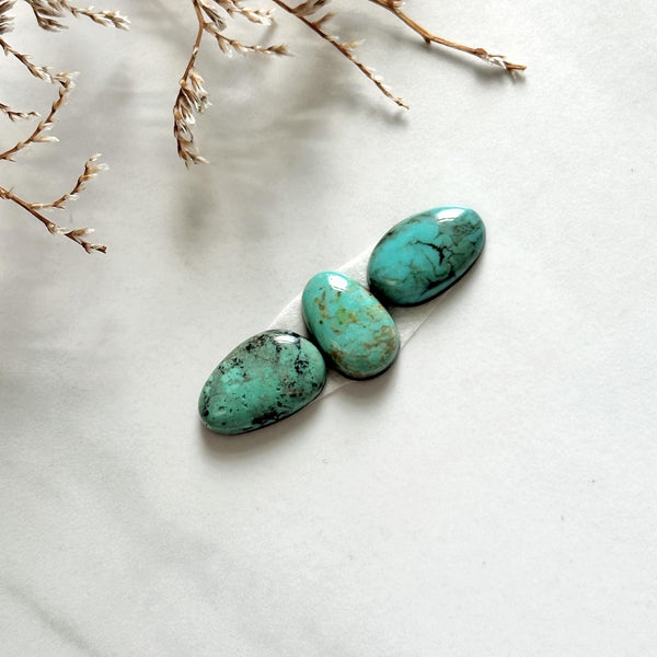 Small Mint Green Mixed Pilot Mountain Turquoise, Set of 3 Background