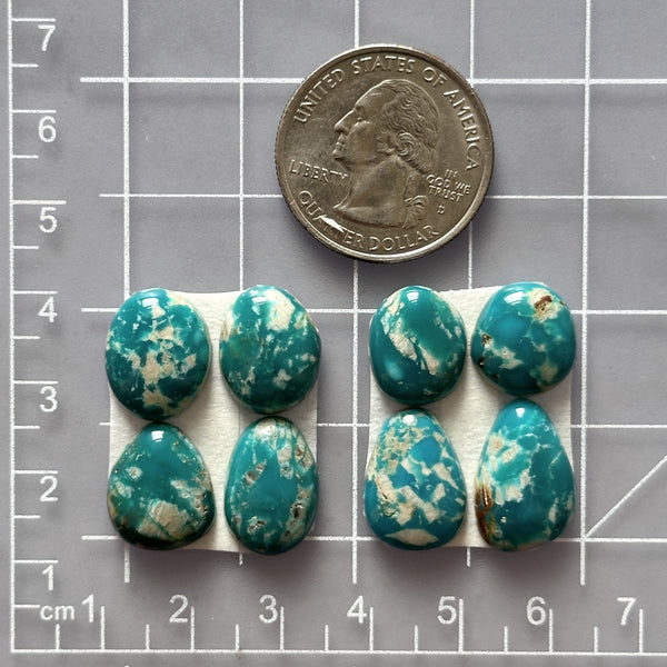 Small Mint Green Mixed Fox Turquoise, Set of 8 Dimensions