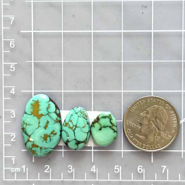 Large Mint Green Oval Treasure Mountain Turquoise, Set of 3 Dimensions