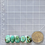 Small Mint Green Freeform Number 8 Turquoise, Set of 5 Dimensions