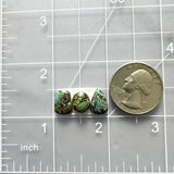 Small Bamboo Green Mixed Bamboo Mountain Turquoise, Set of 3 Dimensions