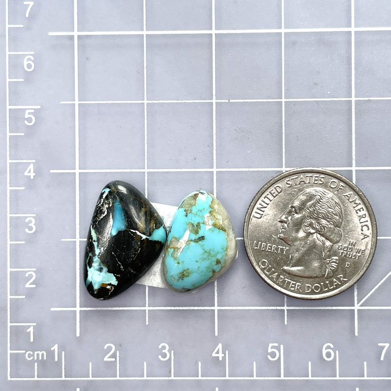 Medium Mixed Freeform Mixed Turquoise, Set of 2 Dimensions