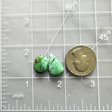Small Sea Green Mixed Lone Mountain Turquoise, Set of 2 Dimensions
