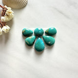 Small Sea Green Mixed Fox Turquoise, Set of 6 Background