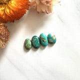 Small Mixed Mixed Mixed Turquoise, Set of 4 Background