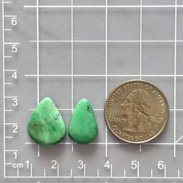 Small Mint Green Teardrop Lucid Variscite, Set of 2 Dimensions