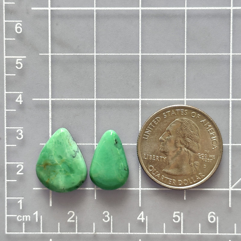 Small Mint Green Teardrop Lucid Variscite, Set of 2 Dimensions