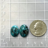 Medium Ocean Blue Oval Kingman Turquoise, Set of 2 Dimensions