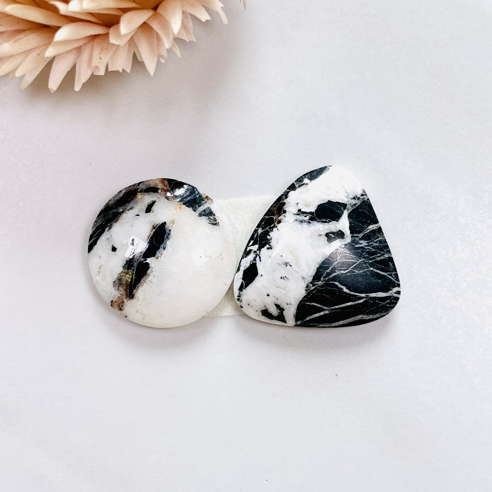 あめ　BUFFALO Peanut Butter Gotta Love Buffalo™ Sponge Candy | Platter's