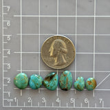 Small Mint Green Freeform Tyrone Turquoise, Set of 6 Dimensions