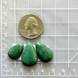 Medium Deep Green Teardrop Yungai Turquoise, Set of 3 Dimensions