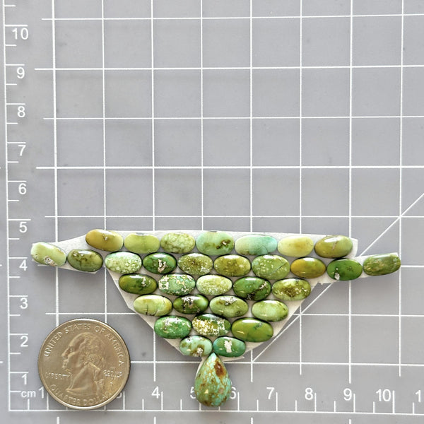 Small Lime Green Mixed Sonoran Gold Turquoise, Set of 32 Dimensions
