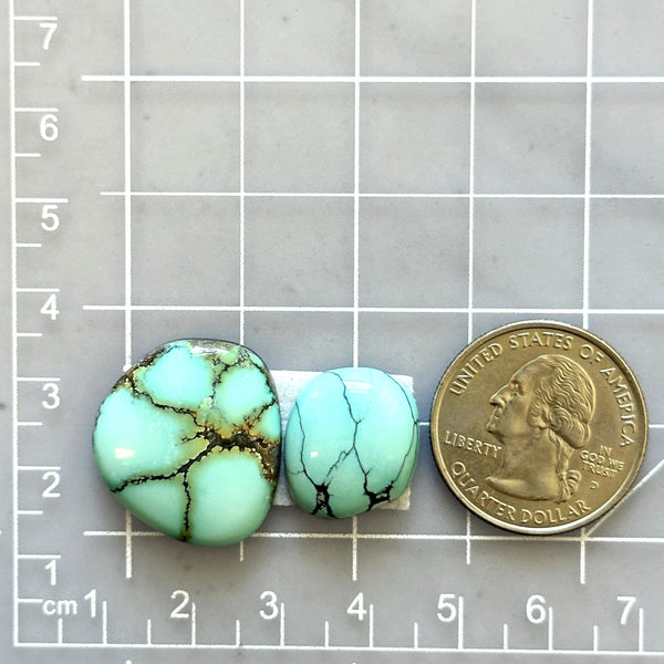 Large Faint Blue Mixed Treasure Mountain Turquoise, Set of 2 Dimensions