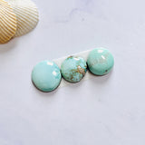 Small Mint Green Freeform Carico Lake Turquoise, Set of 3 Background