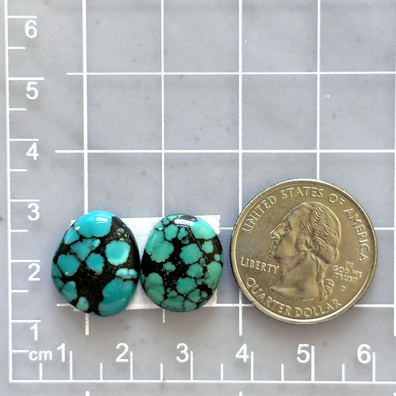Medium Bamboo Green Freeform Bamboo Mountain Turquoise, Set of 2 Dimensions