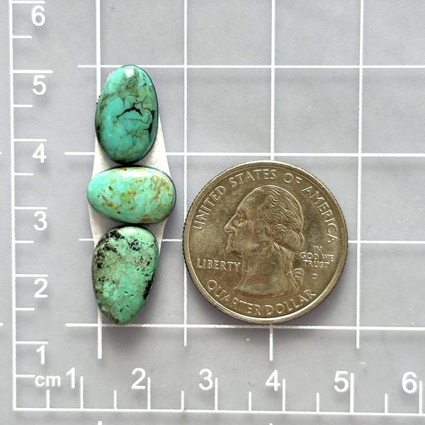Small Mint Green Mixed Pilot Mountain Turquoise, Set of 3 Dimensions