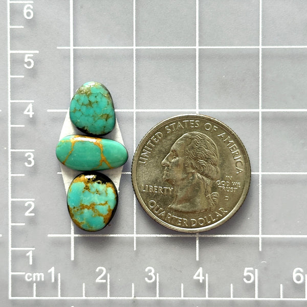 Small Sea Green Freeform Namtso Lake Turquoise, Set of 3 Dimensions