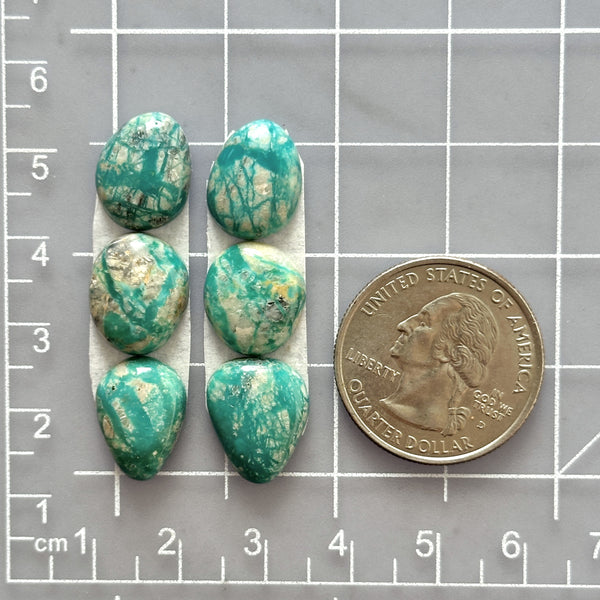 Small Deep Green Mixed Fox Turquoise, Set of 6 Dimensions