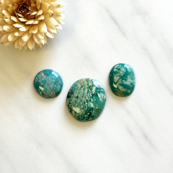 Medium Sea Green Mixed Fox Turquoise, Set of 3 Background