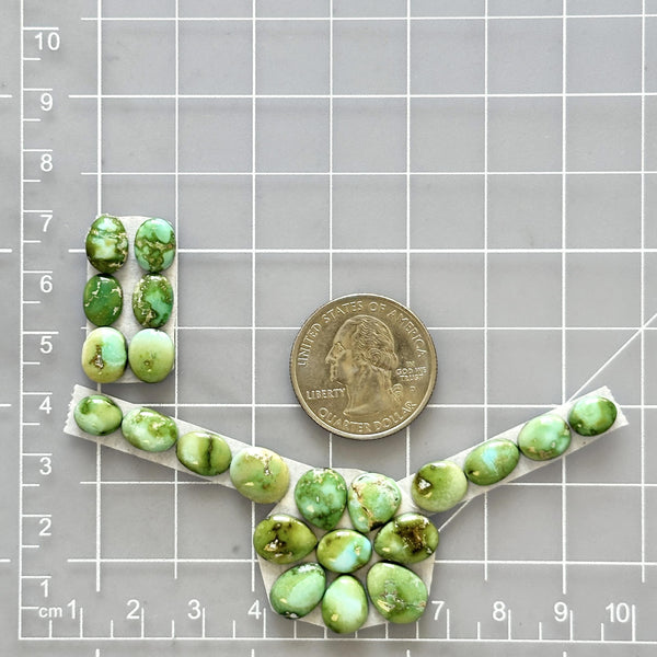 Small Lime Green Mixed Sonoran Gold Turquoise, Set of 22 Dimensions