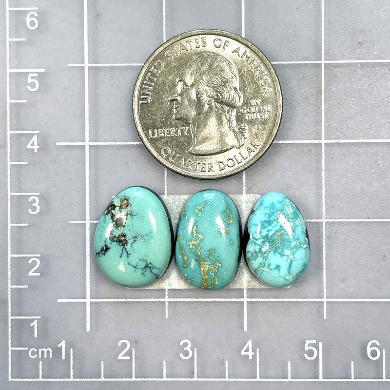 Small Sky Blue Freeform Carico Lake Turquoise, Set of 3 Dimensions