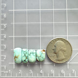 Small Sky Blue Freeform Sonora Turquoise, Set of 4 Dimensions
